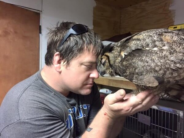Wild at Heart Rescue