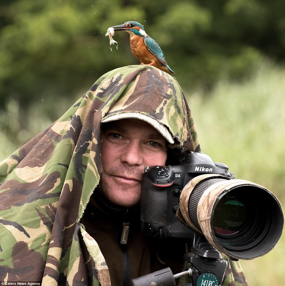 Фотографы дикой природы. Фотограф в засаде. Фотокорреспондент в дикой природе. Фотограф фотографирует птиц. Фотографы дикой природы с животными.