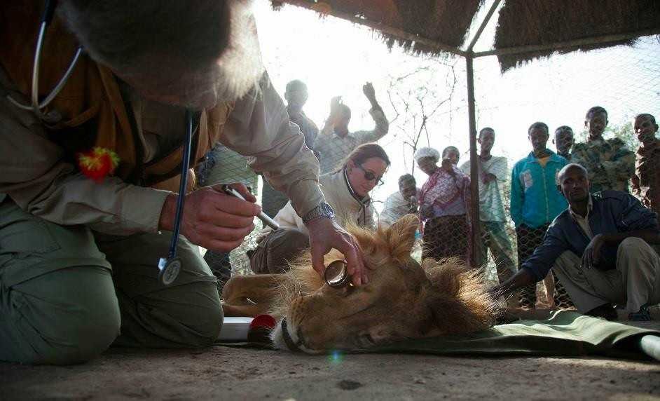 Born Free Foundation