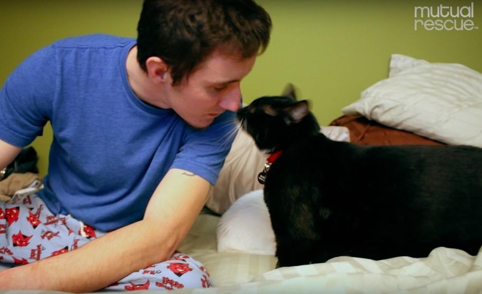 Mutual Rescue - Youtube