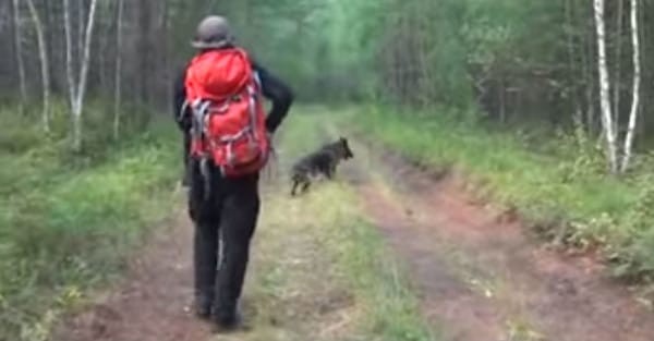 25-7 Hund flicka forsvunnen3