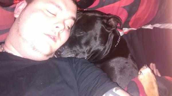13-8 Man självmord hund5