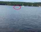 A férfi lát valamit mozogni a vízben - gondolkodás nélkül azonnal cselekszik