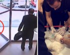 A macska beszorul a kórház forgóajtajába- az orvos hihetetlen dolgot tesz