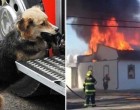 A tűzoltók a lángokkal harcolnak - ekkor észreveszik, hogy a kutya valamit visz a szájában