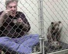 Az állatorvos bezárja magát egy pitbullal a ketrecbe - nézd mi történik mikor enni kezd