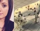 Azt hiszi a kutya tele van bogárcsípéssel - aztán fedezi fel a szörnyű igazságot
