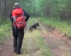 Halottnak hiszik a városlakók az eltűnt kislányt - 11 nap múlva a kutya az erdőbe vezeti őket