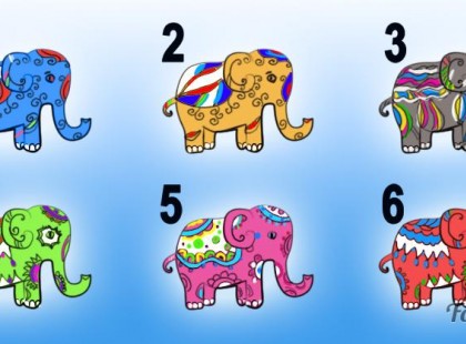 Válassz egyet a Szerencsehozó Elefántok közül és tudd meg mit üzen neked!