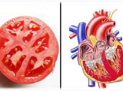 Ez a 11 élelmiszer, amely Isten ajándéka az embereknek! Ezek az élelmiszerek a szervekre hasonlítanak, nézd a hatásukat!