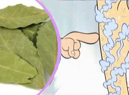 Ennek a levélnek köszönhetően megszabadulhatunk a visszerektől, a memória zavartól és a fejfájástól is! Csak akkor hat, ha így készíted el!