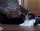 Ez a férfi a földön fekszik – a kiskutya reakciója milliók szívét meglágyította