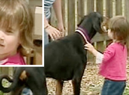 A család kóbor kutyát fogad örökbe – mikor a kutya elkapja a kislányt az anya csak üvölt