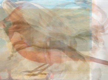 Az első két állat amit meglátsz a képen megmutatja milyen a személyiséged