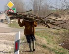 Levente fát lopott, hogy fűtsön: fejbe lőtték a rendőrök