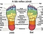 Mentsd el magadnak ezt a cikket,még hasznos lehet: gyógyulj a talpadon keresztül! Talptérkép ( reflexpontok masszírozása)