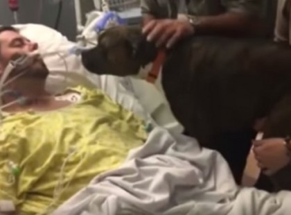 Az orvos kinyitja az ajtót és beengedi a kutyát – a kutya reakciójától csak sírni tudunk