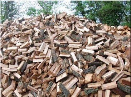 Ingyen elvihető tüzifa ! Akár 2 utánfutónyival teljesen ingyen! Jelentkezzen érte, minél előbb! Itt vannak a részletek