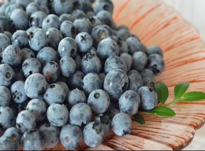 Áfonya: mindenki azt mondja milyen egészséges, de erről senki sem beszél!