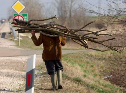 Levente fát lopott, hogy fűtsön: fejbe lőtték a rendőrök