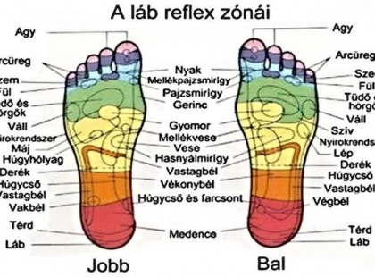 Mentsd el magadnak ezt a cikket,még hasznos lehet: gyógyulj a talpadon keresztül! Talptérkép ( reflexpontok masszírozása)