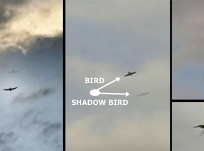 EZ az igazság, amiért holografikus égboltot vetítenek a fejünk fölé!