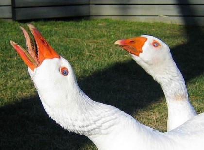 13 meglepő tény, amit eddig nem tudtál Kínáról