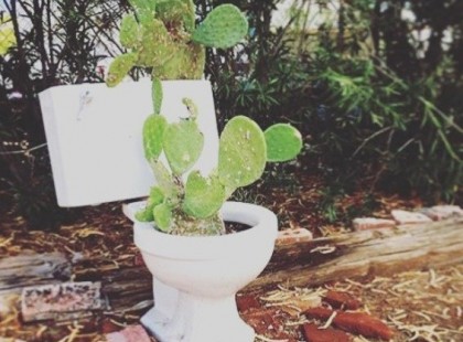 19 ember, akit örökre el kellene tiltani a kertészettől