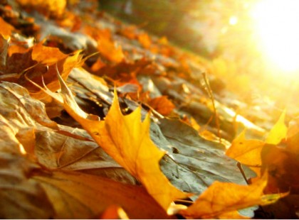 Fantasztikus idő jön a napokban! Nem fogod elhinni milyen idő jön a héten! Itt az előrejelzés