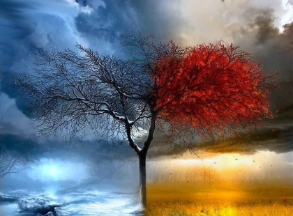 Szokatlan telünk lesz a nép megfigyelések szerint! Itt az időjárás előrejelzés novemberre, decemberre ! Ettől dobunk egy hátast!