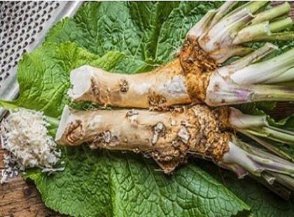 Visszaépíti a memóriát, 20 százalékkal növeli a zsírégetést, javítja a hallást és a látást: a legpotensebb természetes orvosság ez