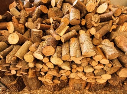 Ingyen tüzifa országszerte! Bárki megkaphatja, akinek szüksége van rá és akár azonnal, nem kell rá napokat várni!