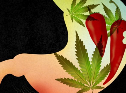 A csípős étrend és a marihuána elképesztő dolgot művel az immunrendszerrel