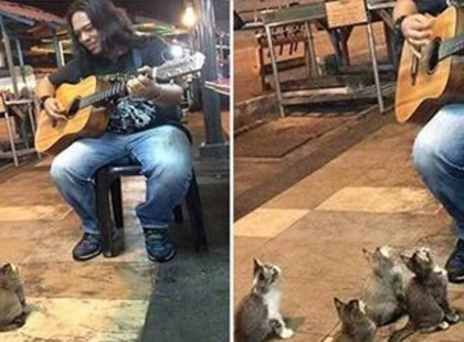 Az utcai zenész már épp haza akart menni – de nem várt közönségre talál