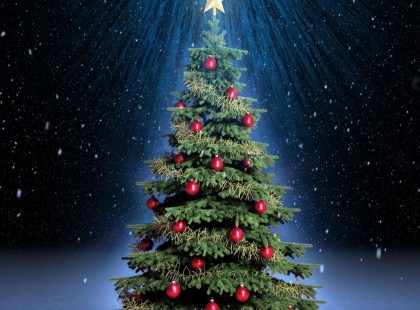 Márton napja eldöntötte milyen lesz a karácsony! November 11-én eldőlt, hogy milyen idő lesz karácsonykor! Tegnap kiderült, hogy lesz-e fehér karácsony vagy sem!