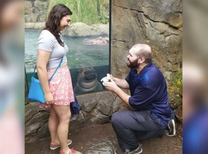 A férfi megkéri barátnője kezét az állatkertben – néhány órával később őrült részletet látnak a képen