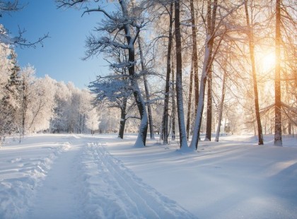 Szüntelen havazik az ország legészakibb tájain. A főváros magasabb pontjai is kifehéredtek.