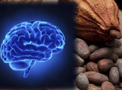 Fantasztikus dolog derült ki az agy és a csokoládé kapcsolatáról - természetes immunrendszer turbózó, és még ennél is több!