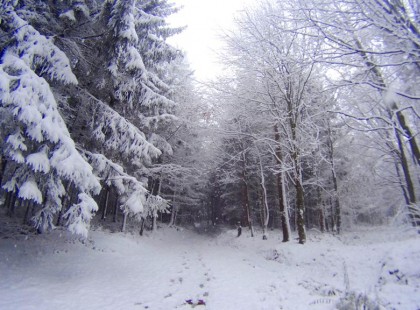 Sza­kad a hó több he­lyen: ha­ma­ro­san fe­hérre vál­to­zik a táj