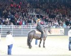 A ló és a cowboyok készen állnak a fellépésre - mikor mozogni kezdenek mindenki csak ámul