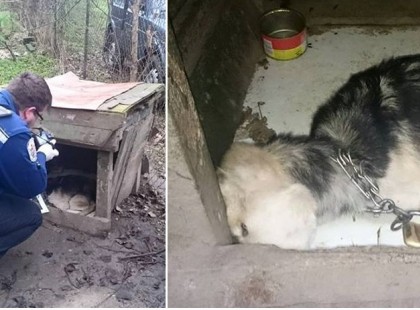 Az anyukájára gondolt. Nagyon hiányzott neki, bár nem túl sok időt töltöttek együtt.