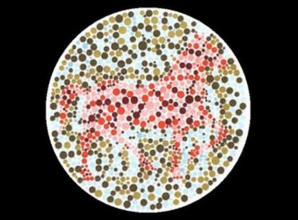 Melyik állatot látod először a képen? Érdekes dolgokat fog elárulni rólad