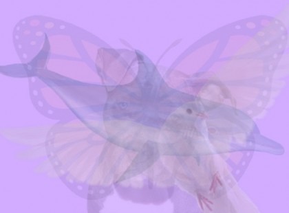 Mit látsz meg először a képen? Nagyon sok mindent elárul rólad!