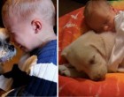 15 fotó ami azt mutatja, hogy minden gyereknek kutyával kellene felnőnie
