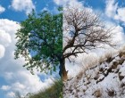 Ekkor jön a tavasz! Le fogsz döbbenni azon, amit a meteorológus mondott! Erre nem számítottál