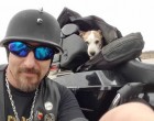 A gazdi kidobta kutyáját a kocsiból - a motoros úgy dönt, hogy utána megy