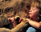 Az anya kislányát az oroszlánkölyökkel engedi össze - 20 év múlva a képek a világhálón sikert aratnak