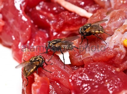 Egy hentes döbbenetes vallomása: Rákos húst adunk el