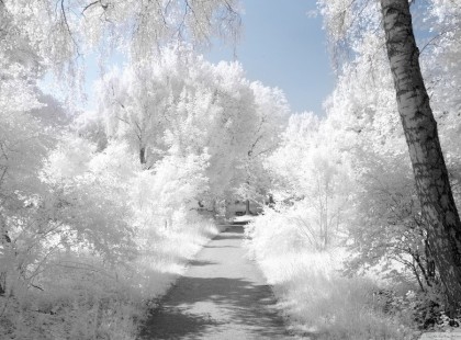 Jön a tél és a havazás! Kiadta a figyelmeztetést a meteorológiai szolgálat! Ekkor érkezik meg a hó hazánkba