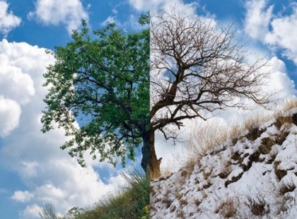 Ekkor jön a tavasz! Le fogsz döbbenni azon, amit a meteorológus mondott! Erre nem számítottál